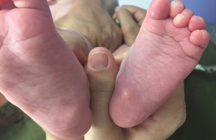 �������� ����������� - ����������� ������