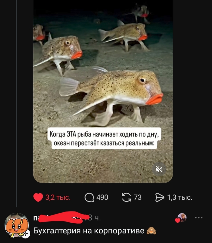 ������� ���))