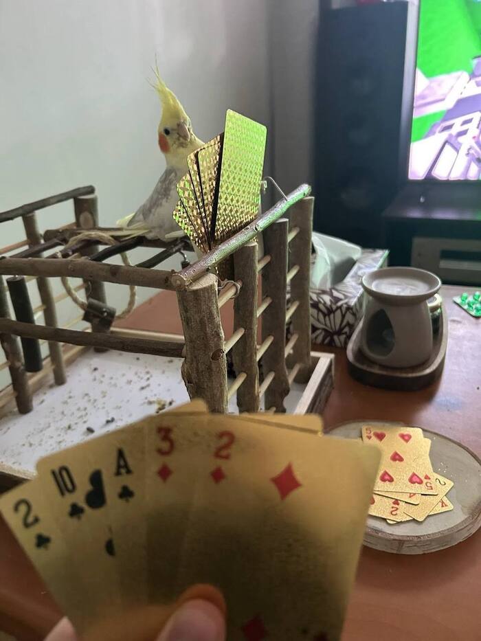 ����� � ����� ��� ����� ��