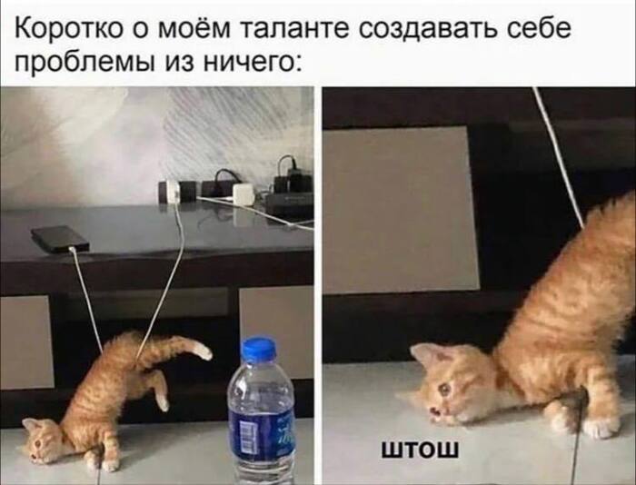 Нелепковый