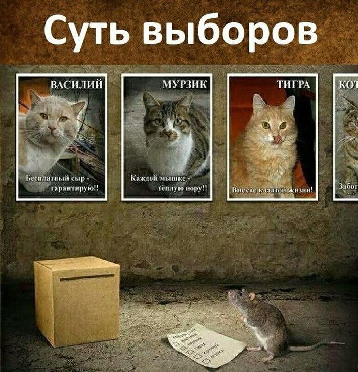 � �� �������