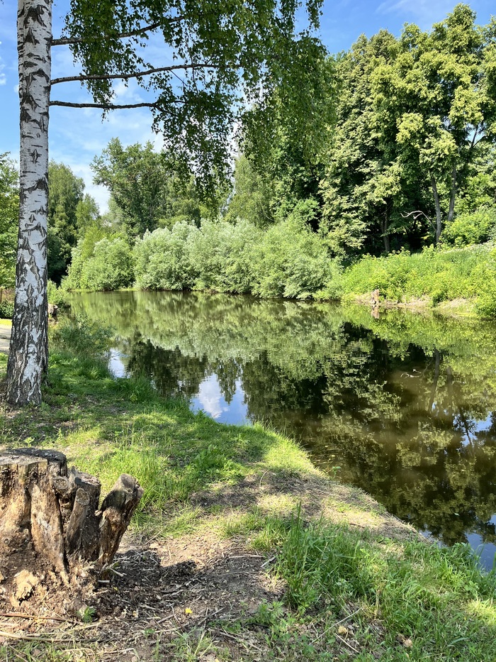 Утро рязанское