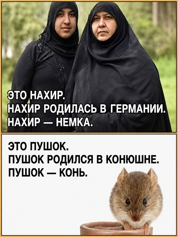 Коренная немка