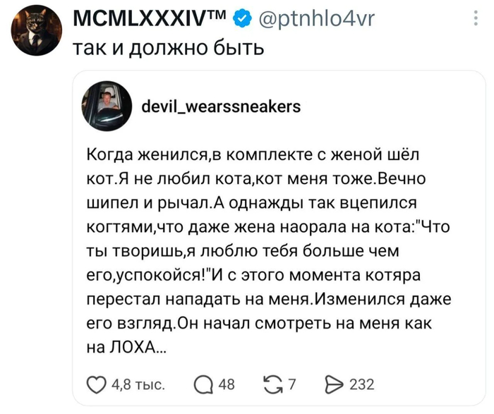 Кот всему голова