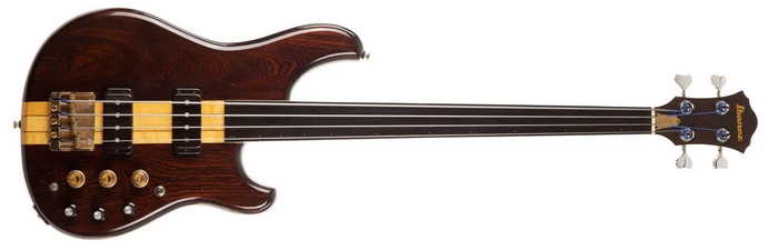 Ibanez Musician