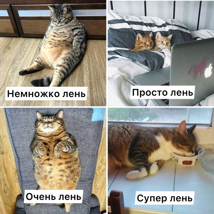 "���� � ��� ��������� �������� �������!" (�)