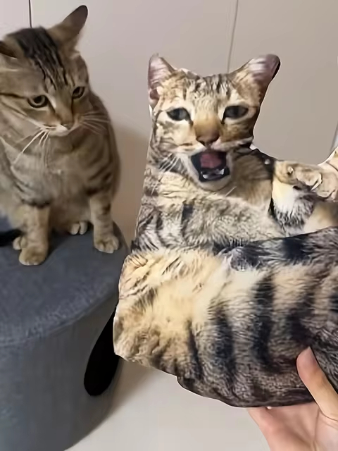 ������� �� ���� ����