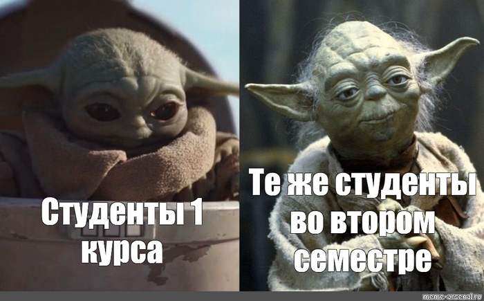 Свобода в университете звучит красиво, пока не понимаешь, что никто не проверит твой конспект