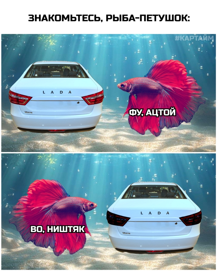 Рыба