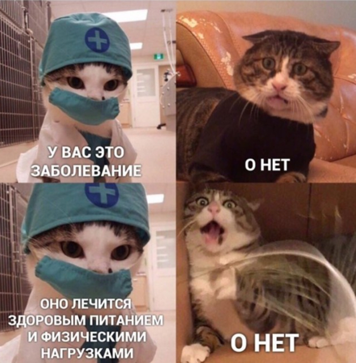 Знаем мы эти физические нагрузки...