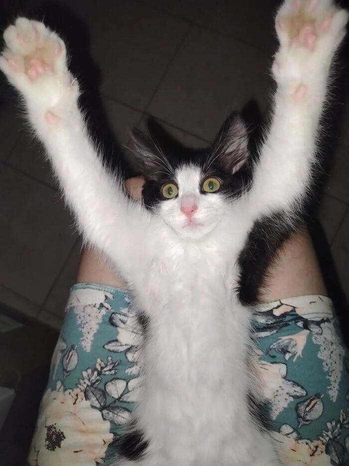 Можно меня домой!?