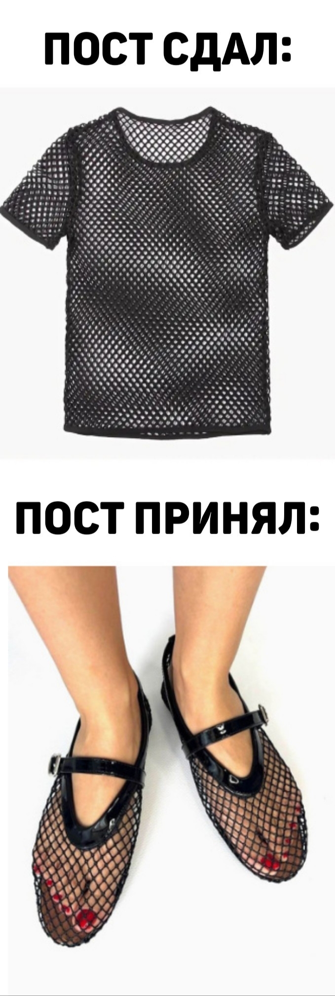����� ����� ���� ����� �����