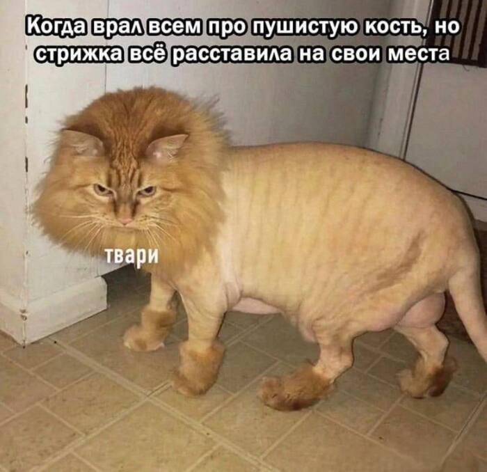 �������� �����