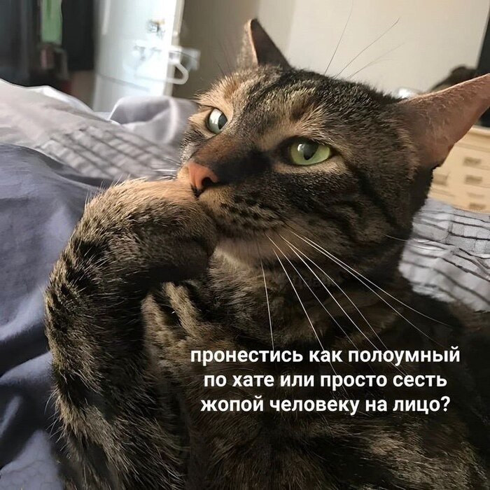 Правильный ответ очевиден