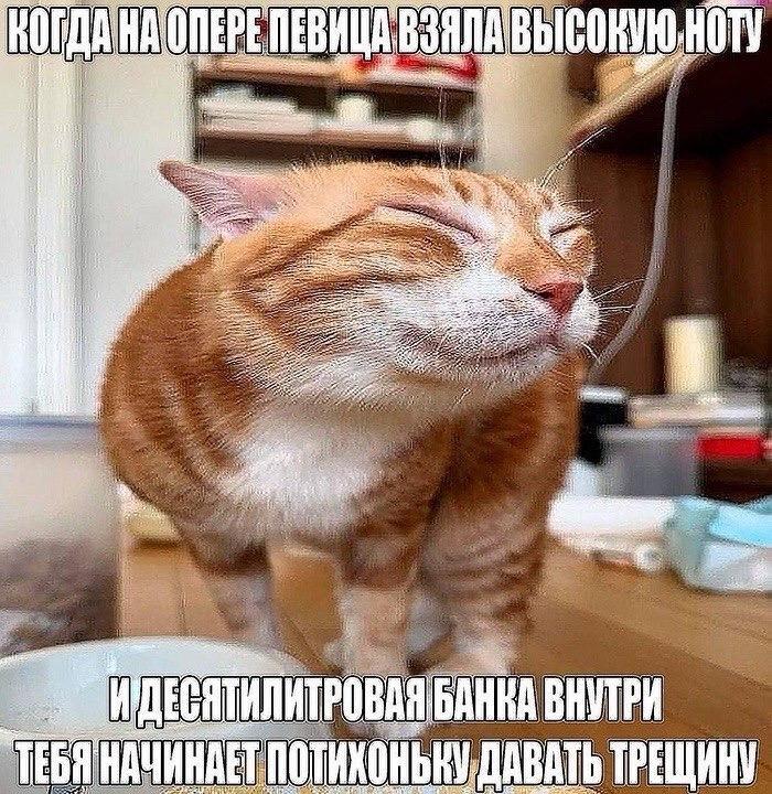 Мы?????