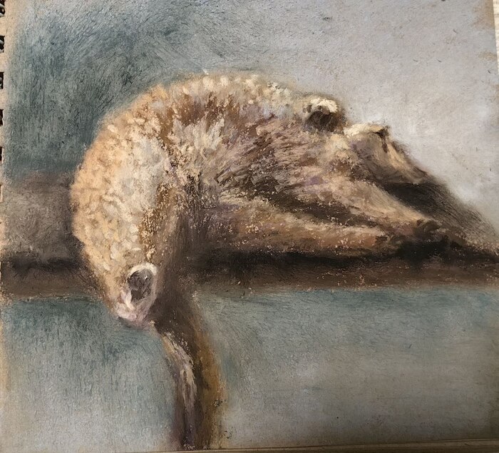 Коська