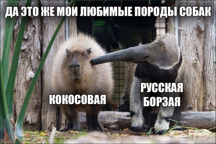 ��������� ������ ������