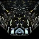 ������ ������������ unipython