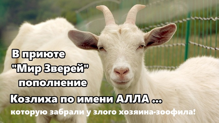 ������� �� ����� ���� ...