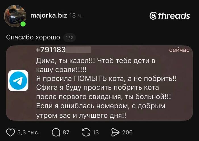 Вопрос после какого свидания можно просить побрить кота остаётся открытым…