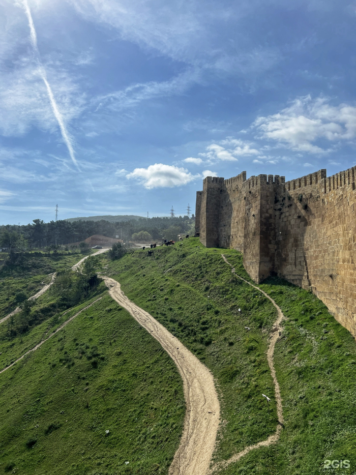 Фото: Юлия Ами, 2ГИС.