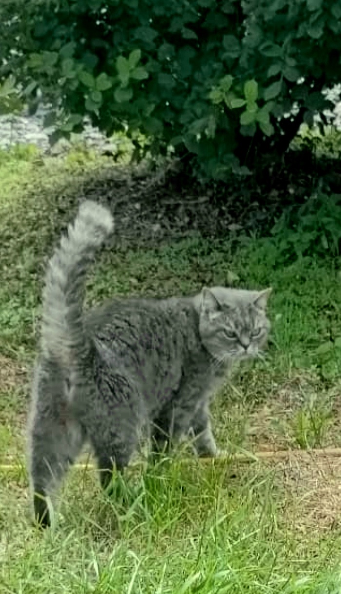 "�������, ��� �� �����"