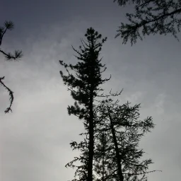 Kairos8