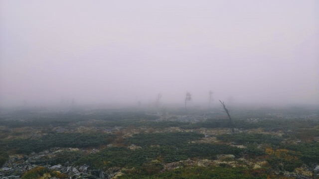 Гуляем в облаках.