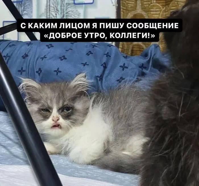 �����������. ������