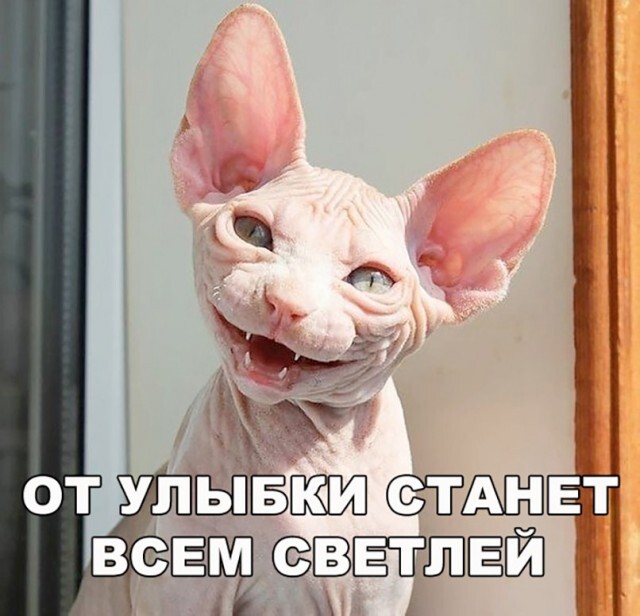 Улыбайся