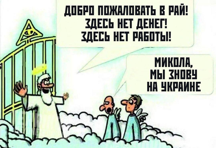 Чувствуют себя как в раю
