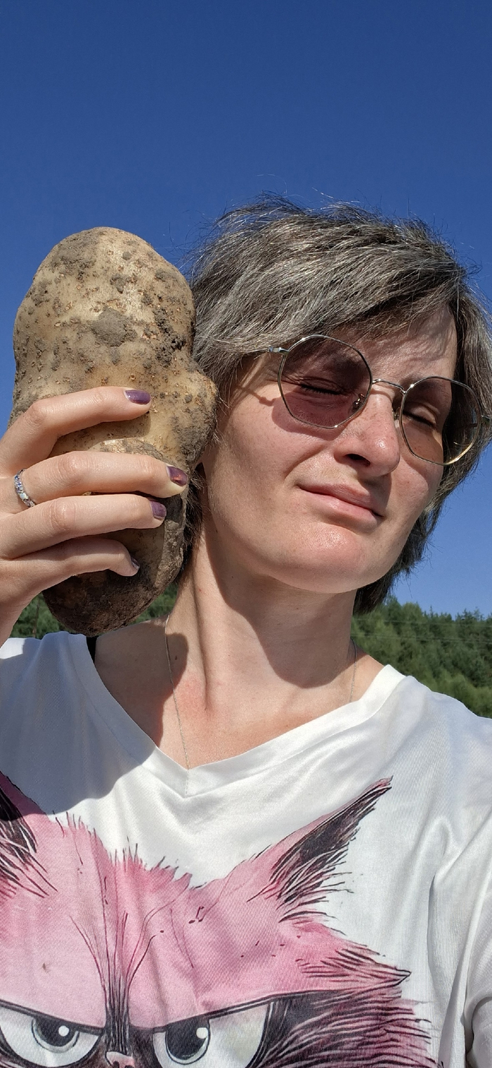 это я слушаю как она будыт жарыца на сковородочкэ