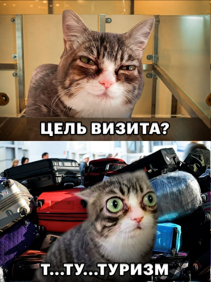 Рекордные 20 тысяч человек пересекли за сутки пункт пропуска Верхний Ларс