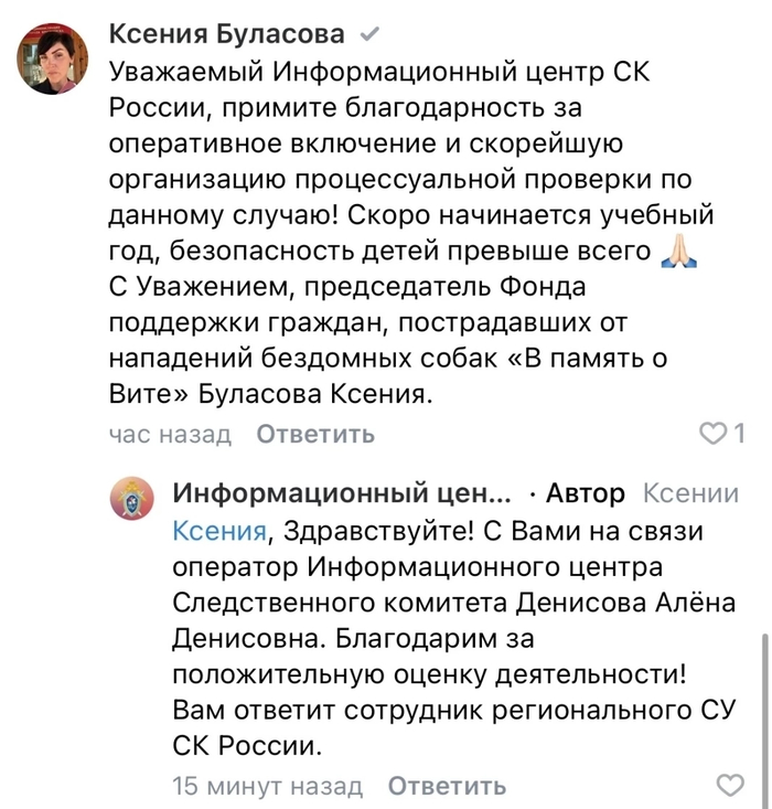 Следственный Комитет РФ расследует случаи нападения бродячих собак
