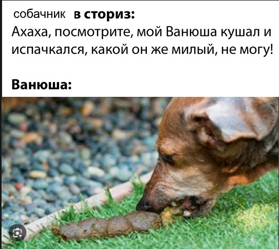 <a href="https://pikabu.ru/story/prodolzhenie_posta_voskresnaya_rubrika_pokazhi_pitomtsa_14268915?u=https%3A%2F%2Fpikabu.ru%2Fstory%2Fotvet_na_post_voskresnaya_rubrika_pokazhi_pitomtsa_14268754%3Fcid%3D402414295&t=%23comment_402414295&h=f552e95637bd97b9781e466222ea11239b75fc07" title="https://pikabu.ru/story/otvet_na_post_voskresnaya_rubrika_pokazhi_pitomtsa_14268754?cid=402414295" target="_blank" rel="noopener">#comment_402414295</a>
