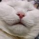 ������ ������������ user11860604
