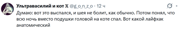 Выспался ли кот?