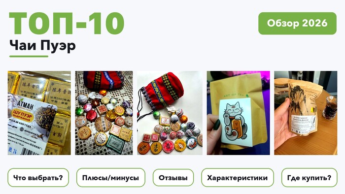Популярные чаи Пуэр 2026 на основе более 750 реальных отзывов покупателей