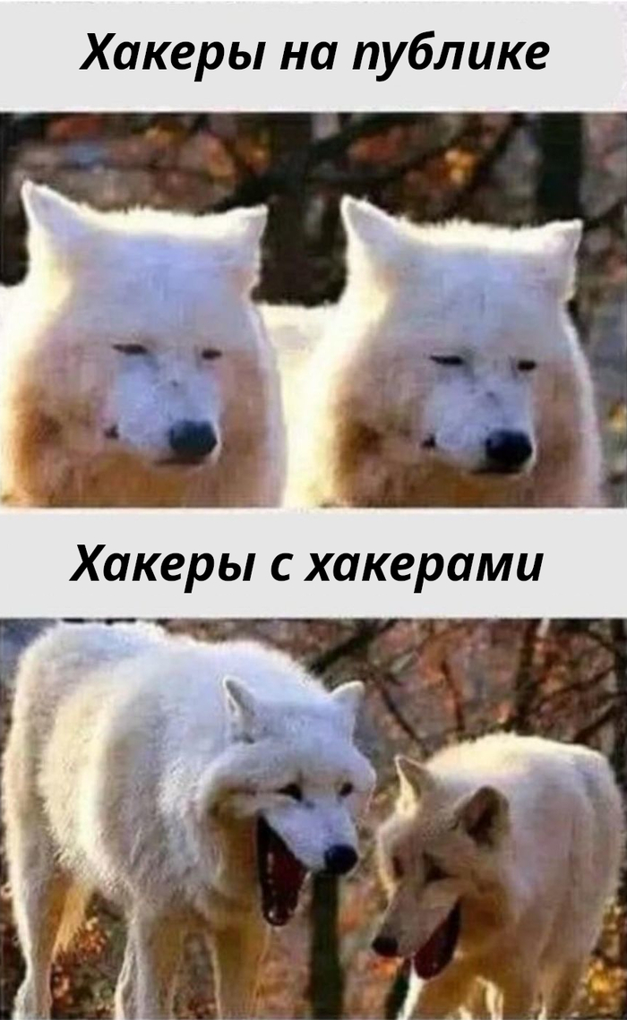 ������������ ��� �������