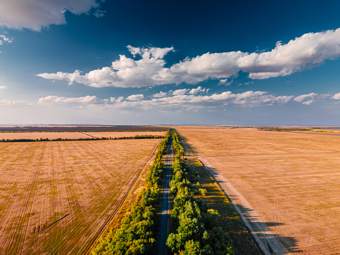Дорога