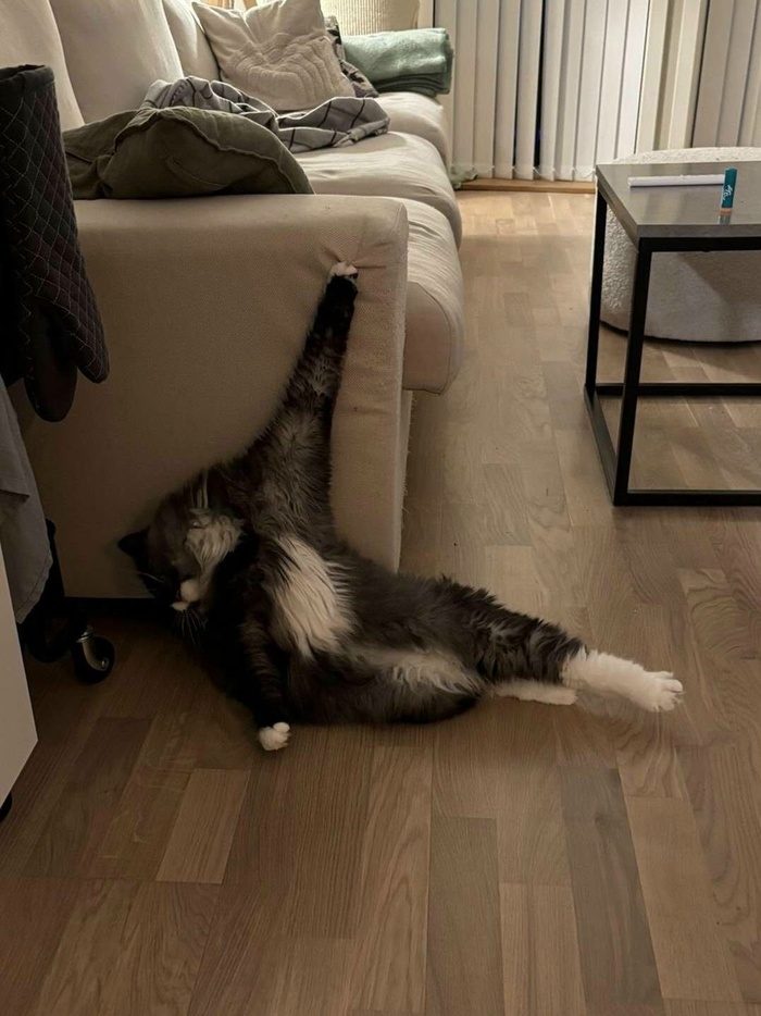 ��, �� ����������� �� ���� ����...