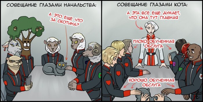 ���� - ����������� ���, �31: ����� ������