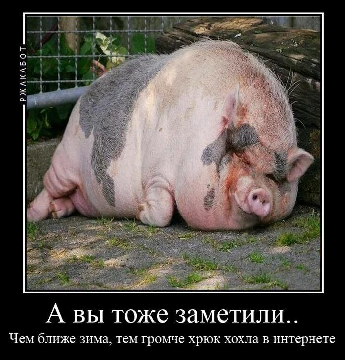 А вы тоже заметили?