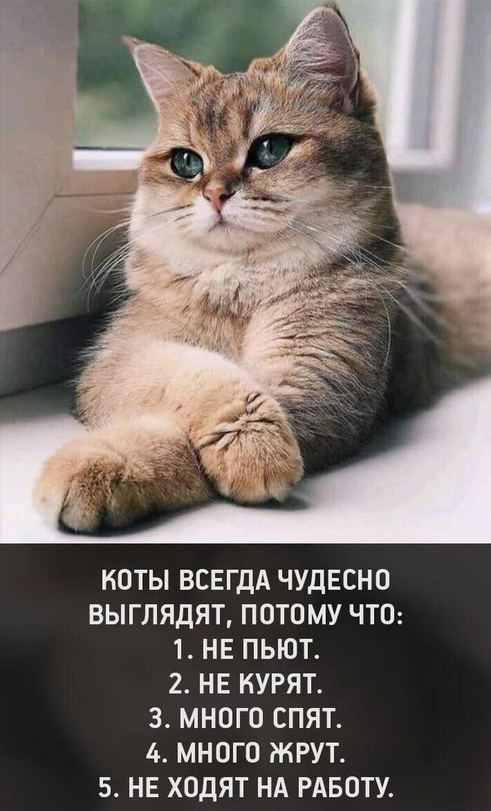 � � � - ������ ���������)))