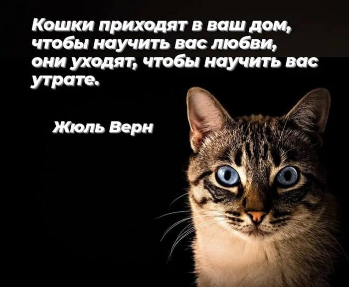 ������ ���������...