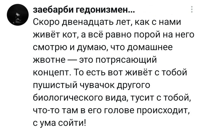Прикольно да