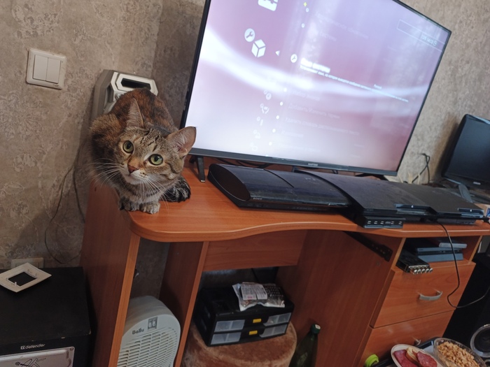 Пятая плойка