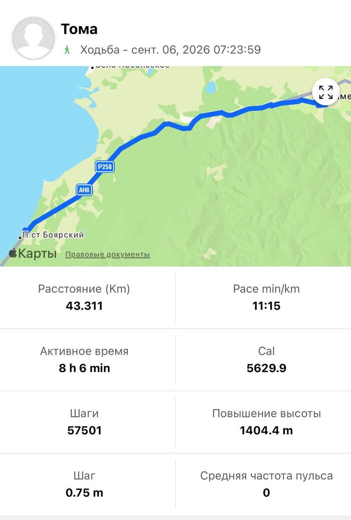 ��������: Telegram-����� ������ ����� ������ | ������ -> �����������