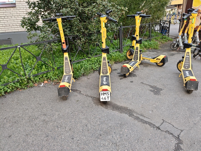 � ���������