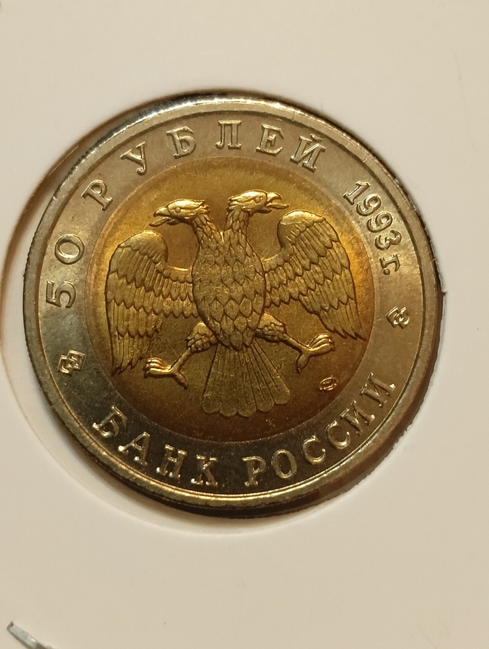 50 ������ 1993, ������� ����� - ��������������� ����